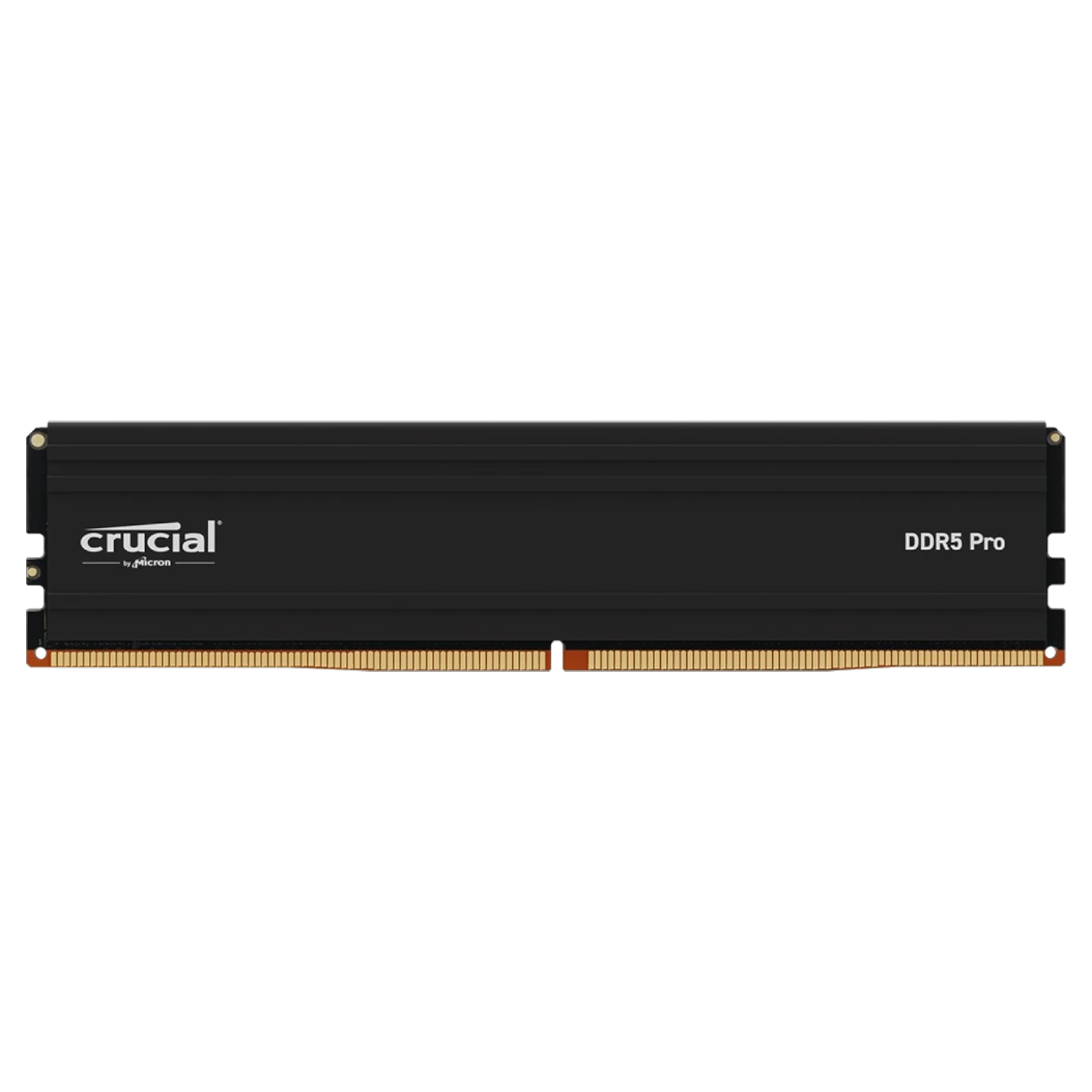 MEMORIA RAM CRUCIAL 24GB DDR5 6000 MHZ PRO
